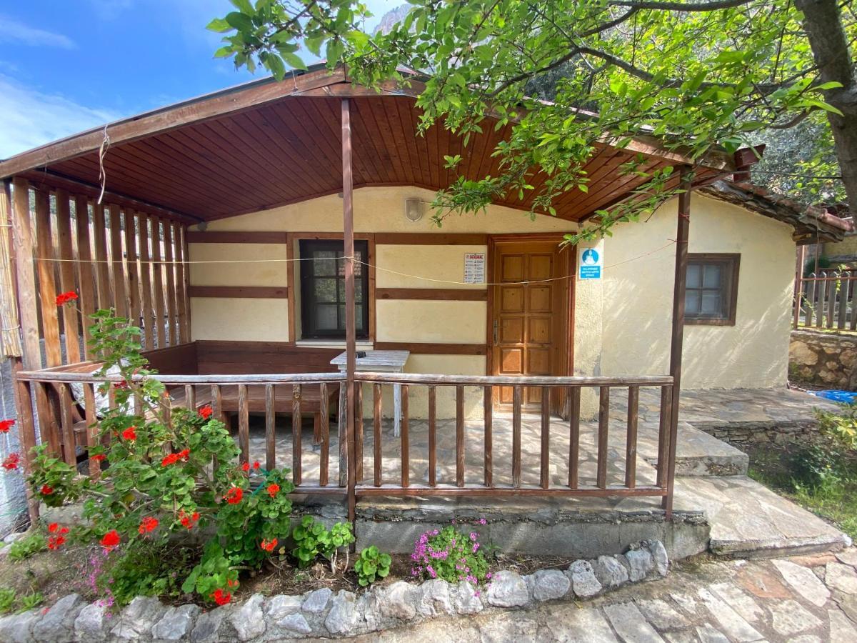 Kidrak Otel Montenegro-1 Faralya Extérieur photo