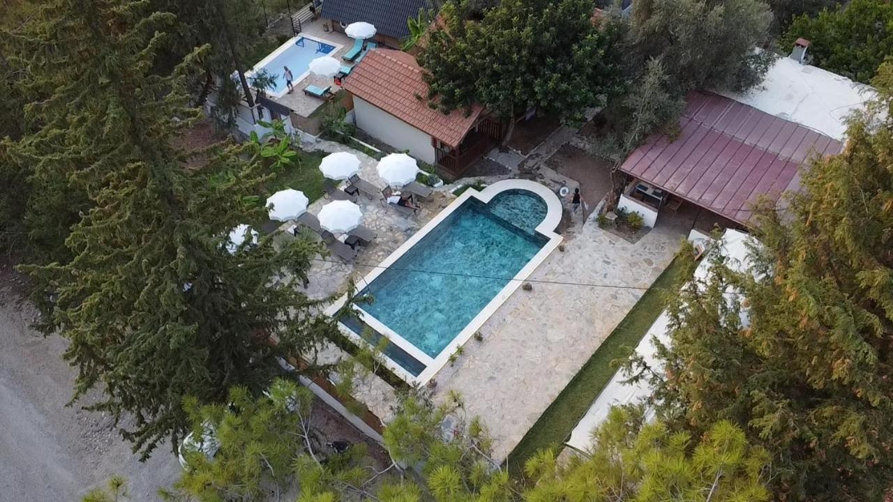Kidrak Otel Montenegro-1 Faralya Extérieur photo